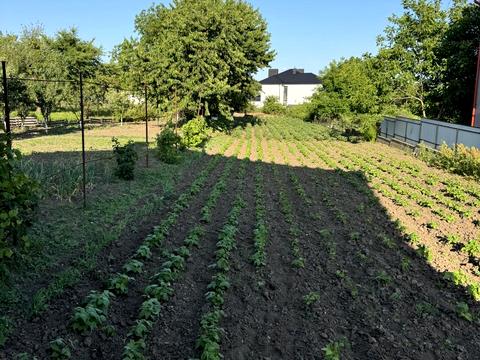 будинок за адресою Чернівці, Путилівська, 1