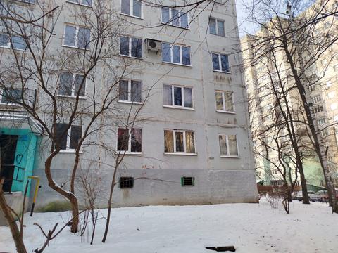 квартира по адресу Академика Павлова ул., 146