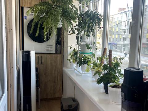 квартира за адресою Київська вул., 64