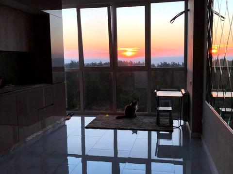 квартира по адресу Юрія Мушкетика ул. (Натана Рыбака), 25-Г