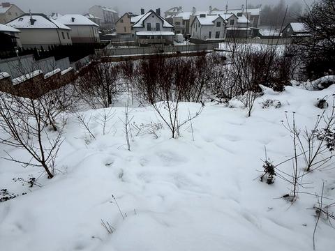 ділянка за адресою Чорновола вул., 20