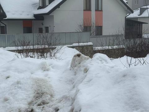 ділянка за адресою Чорновола вул., 20