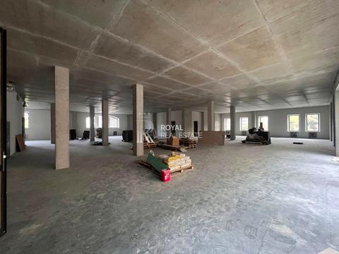 комерційна за адресою Прорізна вул., 9