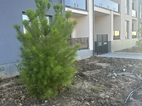 квартира за адресою Перемоги вул., 8