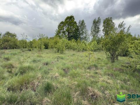 участок по адресу 