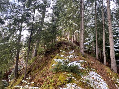 участок по адресу 
