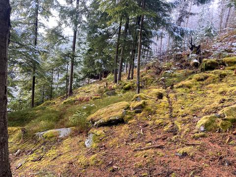 участок по адресу 