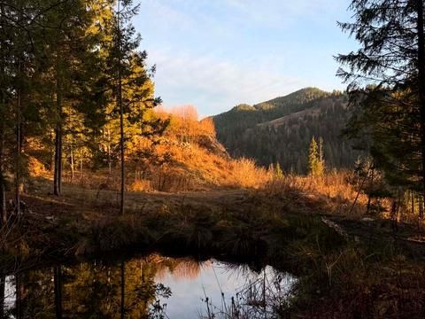 участок по адресу 