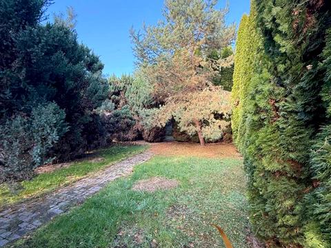 коммерческая по адресу Шевченко, 37