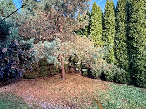 коммерческая по адресу Шевченко, 37