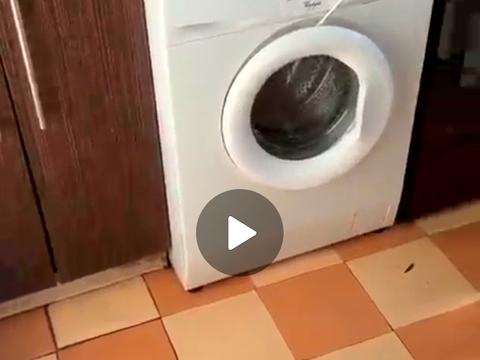 квартира за адресою Перемоги вул., 85