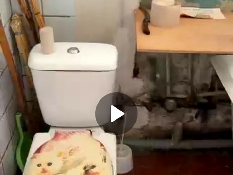 квартира за адресою Перемоги вул., 85