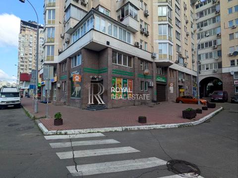 комерційна за адресою Левка Лук'яненка вул. (Маршала Тимошенка), 29