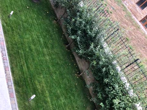 будинок за адресою Соборна вул.