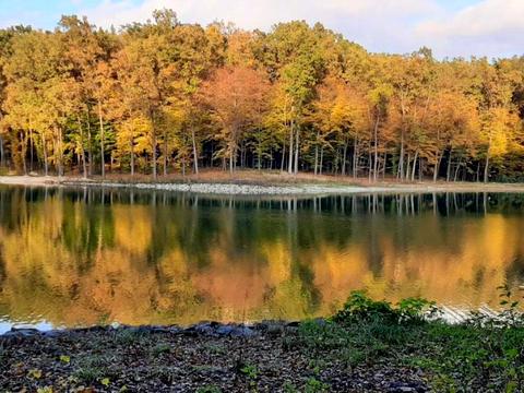 коммерческая по адресу Вівчарик, 1