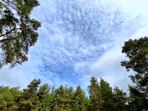 будинок за адресою Каштанова вул. (Тракторна)