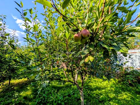 дом по адресу Козацкая ул.