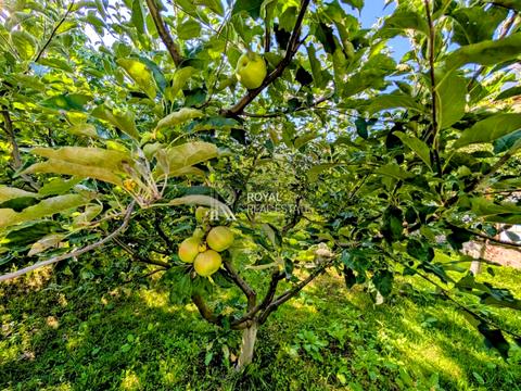дом по адресу Козацкая ул.