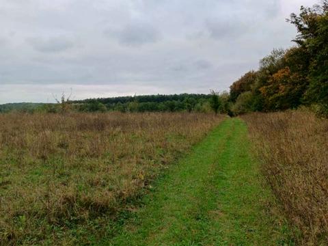 ділянка за адресою 