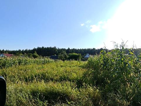 ділянка за адресою с. Пилиповичі, Старий Пруд