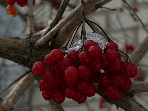 будинок за адресою Лугова, 26