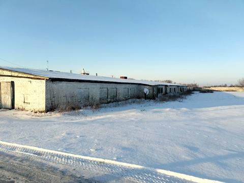 коммерческая по адресу Жовтнева, 23