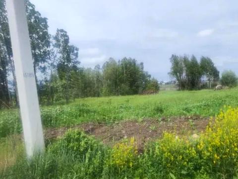 ділянка за адресою Київ, 