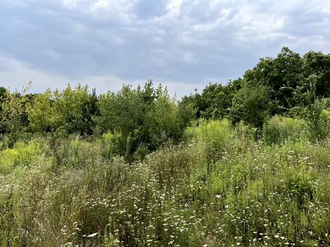 участок по адресу 