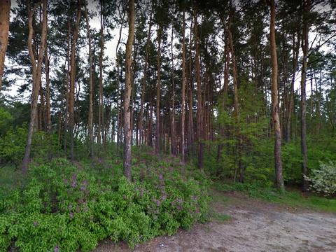 ділянка за адресою 