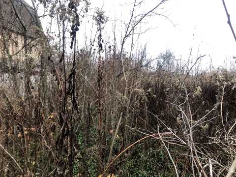 дом по адресу Украинского Возродження ул. (Бударіна)