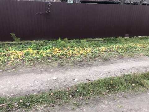 дом по адресу Украинского Возродження ул. (Бударіна)