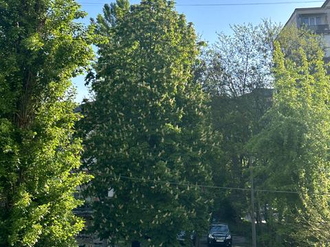 квартира за адресою Київ, Митрополита Василя Липківського вул. (Урицького), 5