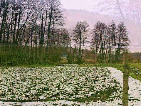 ділянка за адресою Київська вул., 35