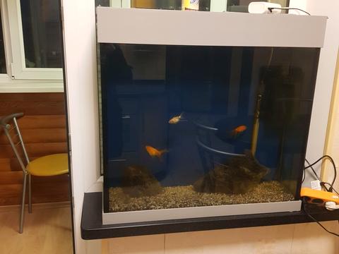 квартира за адресою Якуба Коласа вул., 4-А