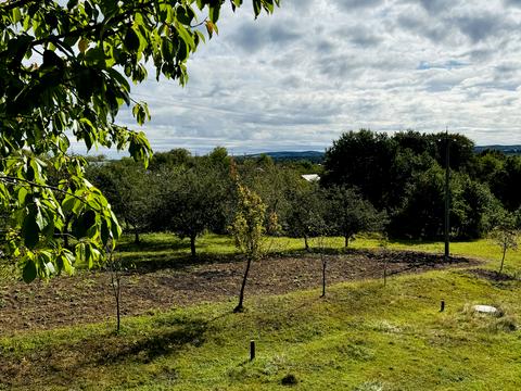 будинок за адресою с. Кобаки, Фенчука