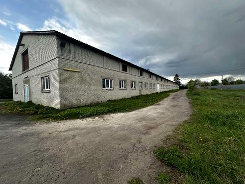 коммерческая по адресу Огієнка, 1