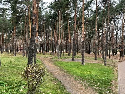 квартира за адресою Дарницький бульв., 17