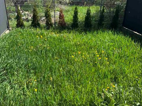 дом по адресу Джерельна