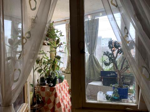 квартира по адресу Миколайчука ул., 16