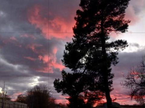 участок по адресу Леніна