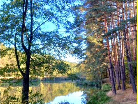 участок по адресу Леніна