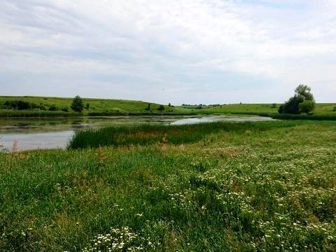 дом по адресу Фрунзе, 4