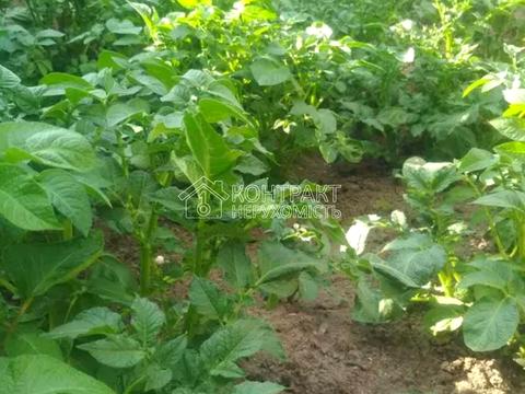 дом по адресу Внуковский пер., 16