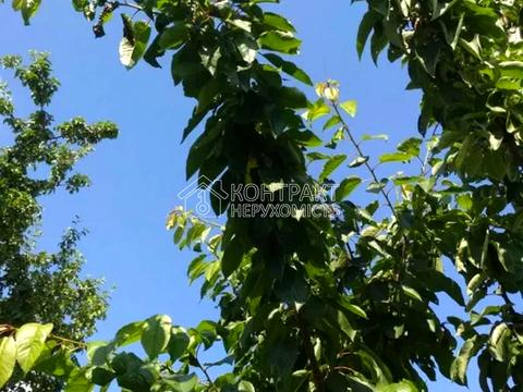 дом по адресу Внуковский пер., 16