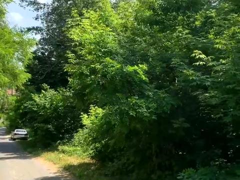 участок по адресу Киевская ул.