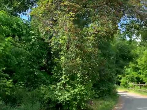 участок по адресу Киевская ул.