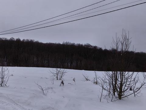 участок по адресу Лесі Українки, 1