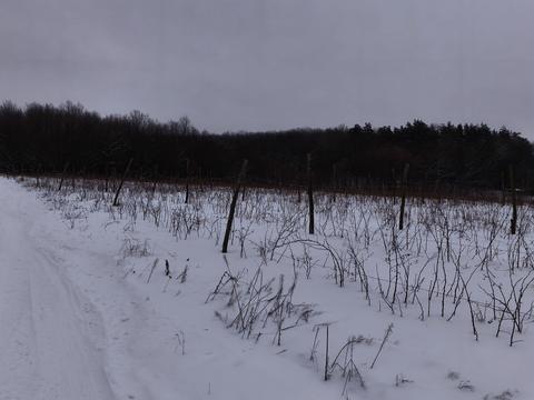 участок по адресу Лесі Українки, 1