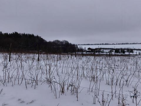 участок по адресу Лесі Українки, 1