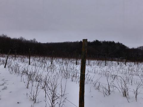 участок по адресу Лесі Українки, 1